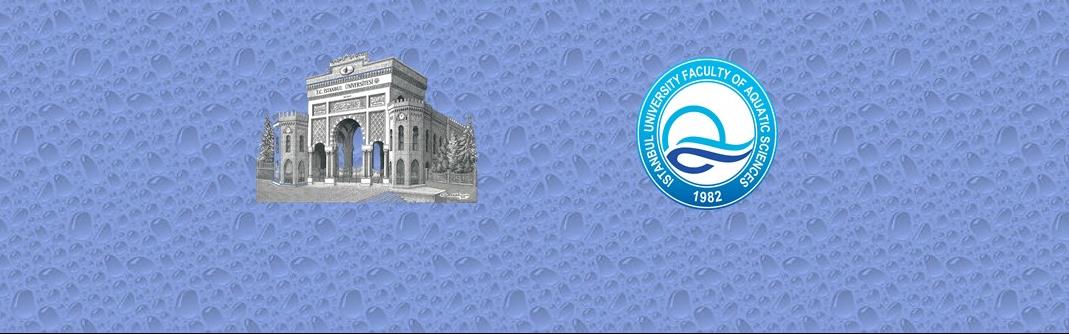 tercih tanıtım